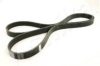 ASHIKA 112-6PK1905 V-Ribbed Belts